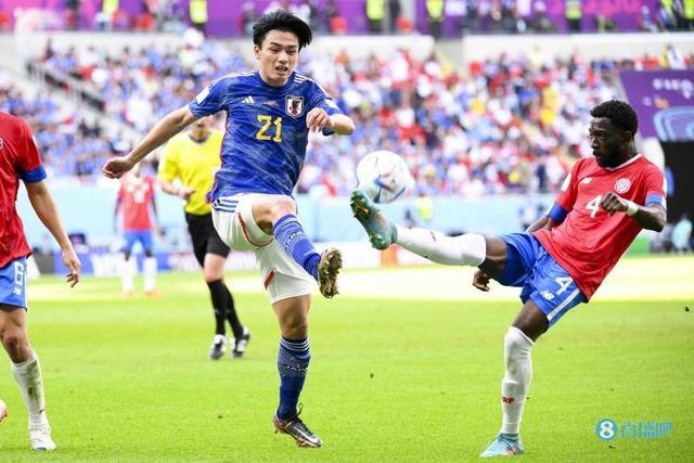 本届亚冬会 本届亚冬会